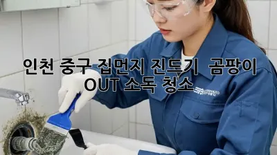 🏡 인천 중구: 집먼지 진드기 & 곰팡이 OUT! 소독 청소 ✨