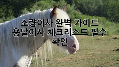 소량이사 완벽 가이드 💯 용달이사 체크리스트 필수 확인! 🚚